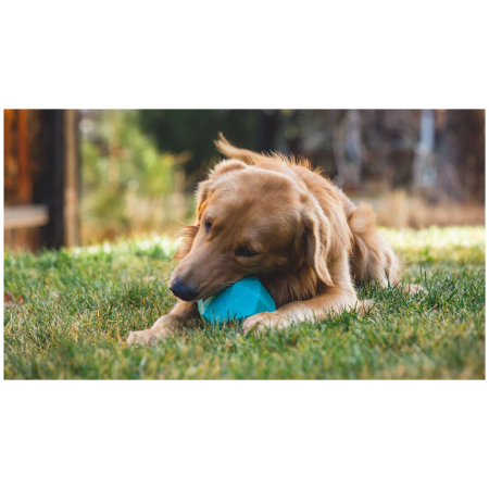 Juguete para perro Ruffwear Gnawt-a-Rock™ Toy