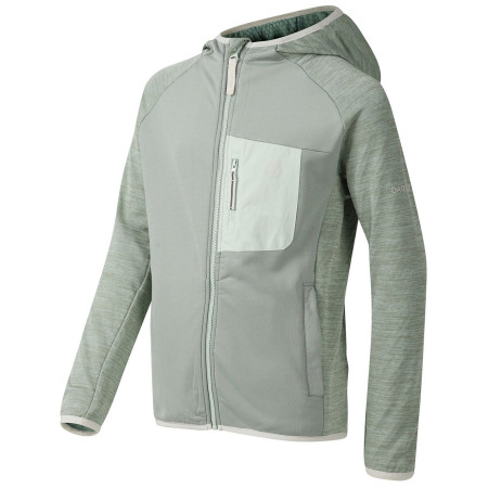 Chaqueta para niños Dare 2b Expedition Midlayer GlacierGreen