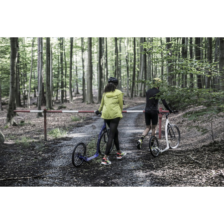 Patinete Yedoo Trexx