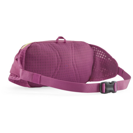 Riñonera Patagonia Terravia Hip Pack