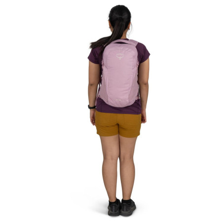 Mochila urbana Osprey Daylite