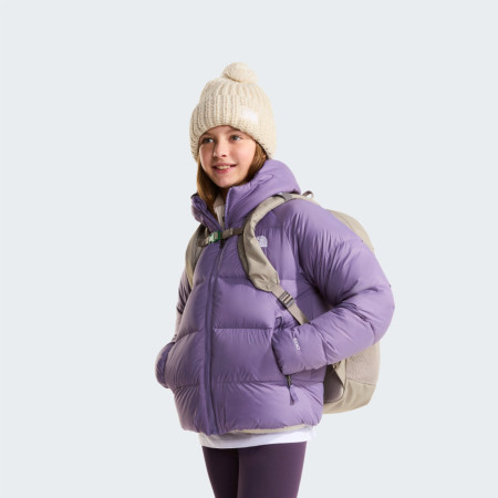 Mochila escolar para educación secundaria The North Face Y Court Jester
