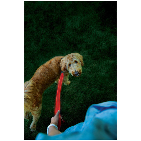 Correa para perro Nite Ize LED NiteDog