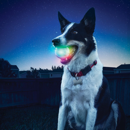 Juguete para perro Nite Ize Glowstreak LED Ball