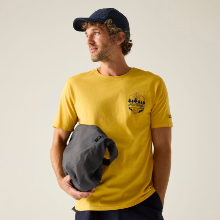 Camiseta de hombre Regatta Cline IX