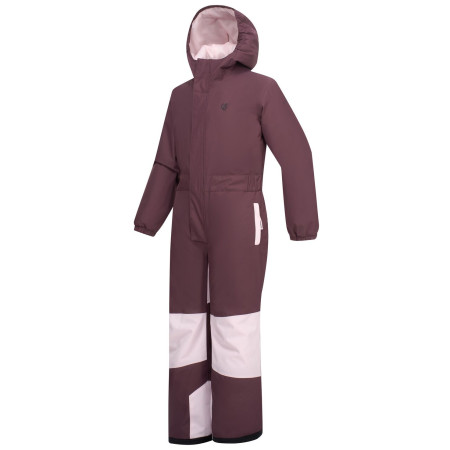 Mono para niños Dare 2b Rodeo Snowsuit Hucklbr/PkHz