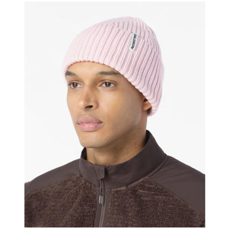 Gorro Salomon Snowbird Beanie U