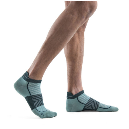 Calcetines de hombre Icebreaker Men Merino Run+ Ultralight Micro