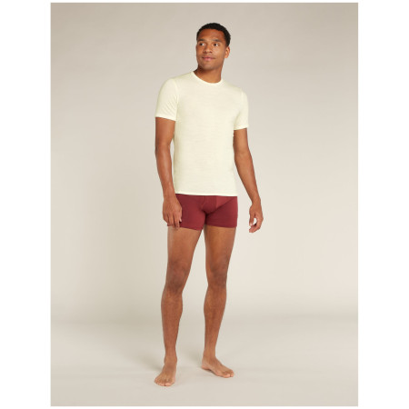 Camiseta de hombre Icebreaker M Anatomica SS Crewe