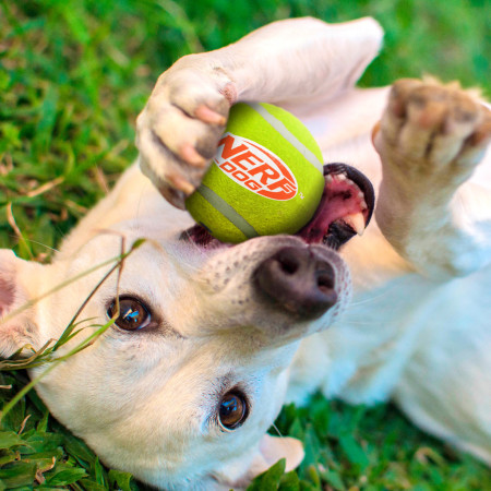 Juguete para perro Nerf Dog Squeak Tennis Ball 3 pcs