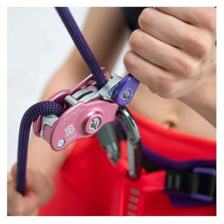 Asegurador Beal Birdie