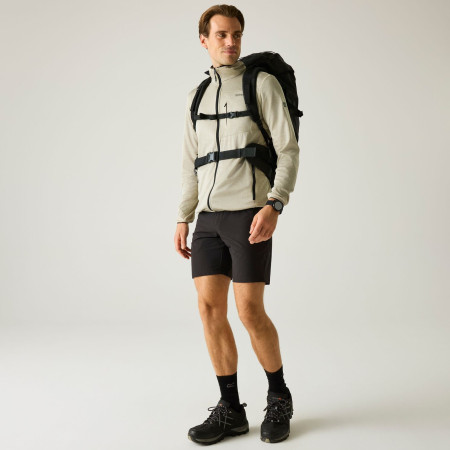 Sudadera de hombre Regatta Hillden Midlayer