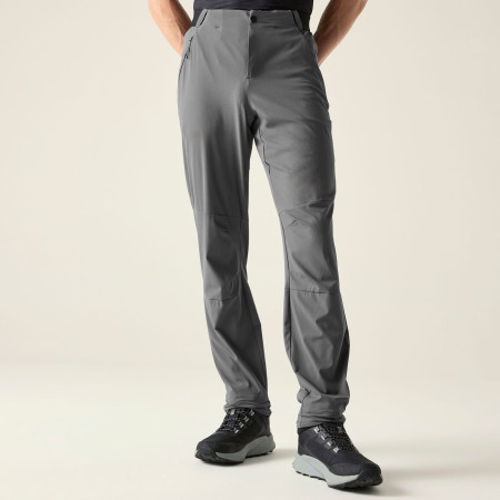 Pantalones de hombre Dare 2b Torrek Lite Trouser