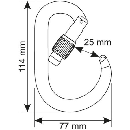 Mosquetón Camp Core Lock