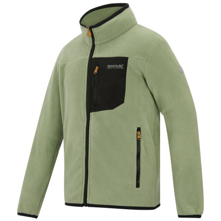 Sudadera para niños Regatta Junior Frankie F/Z Light Sage