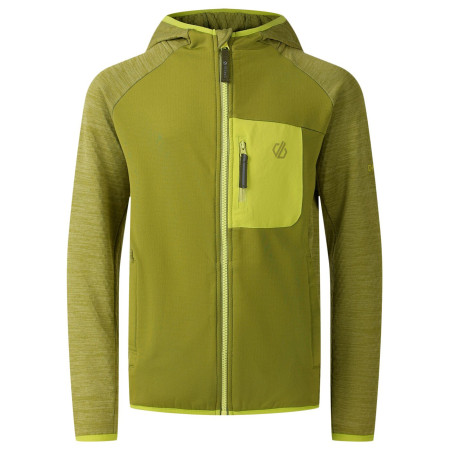 Chaqueta para niños Dare 2b Expedition Midlayer GoldnCypress verde GoldnCypress