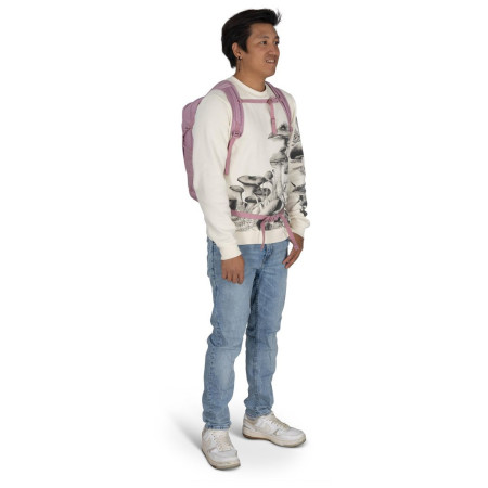 Mochila urbana Osprey Daylite