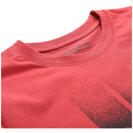 Camiseta de hombre Alpine Pro Bolen 2