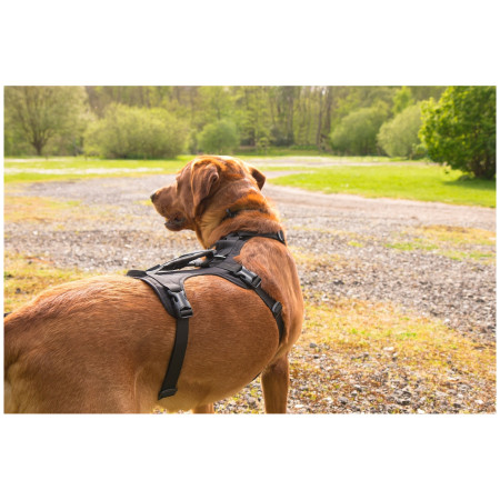 Arnés para perro Mountain Paws 3-Strap Dog Harness