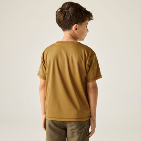 Camiseta para niños Regatta Alvarado Wood Brown