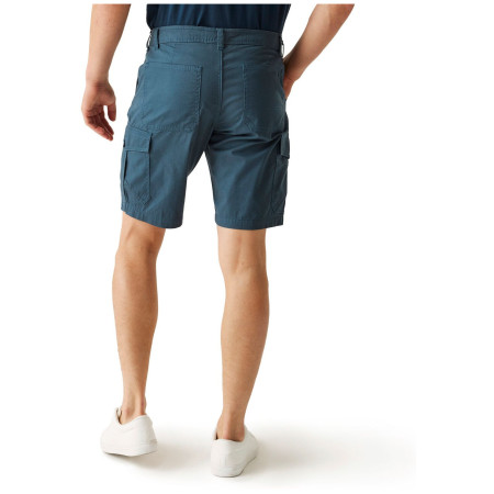 Pantalones cortos de hombre Regatta Ruwan Shorts