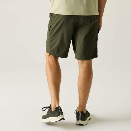 Pantalones cortos de hombre Regatta Arlery Shorts