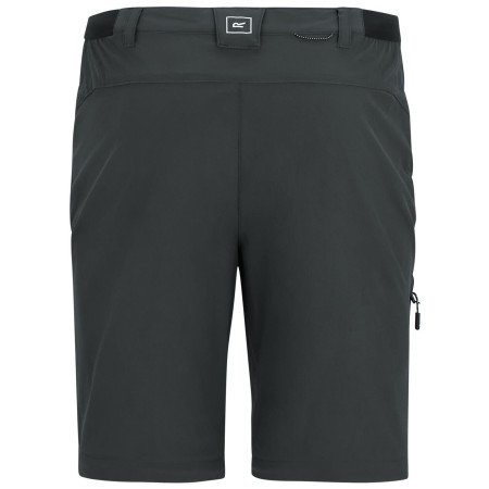 Pantalones de hombre Regatta Anti-Insect Travel Light Z/O Trousers