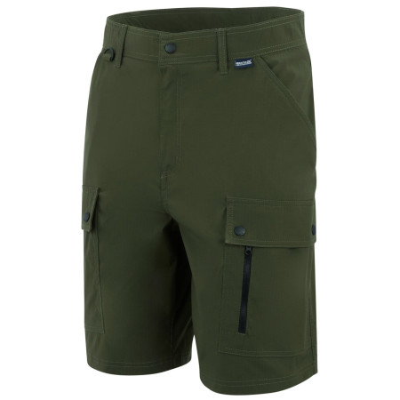 Pantalones cortos de hombre Regatta Arlery Shorts