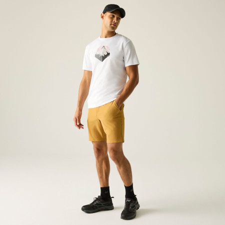 Camiseta de hombre Regatta Fingal Graphic T-Shirt