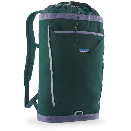 Mochila Patagonia Fieldsmith Linked Pack 24L