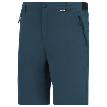 Pantalones de hombre Regatta Anti-Insect Travel Light Z/O Trousers