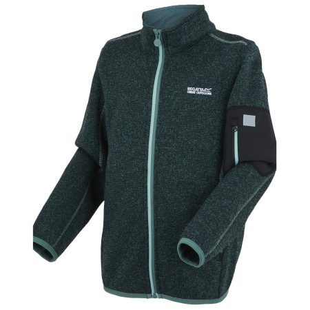 Sudadera para niños Regatta Junior Newhill