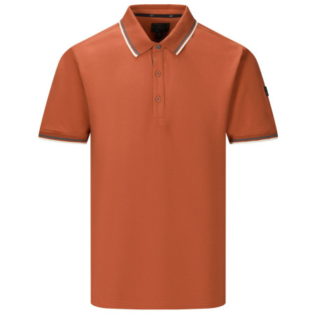 Camiseta de hombre Regatta Adryan Polo marrón Brick