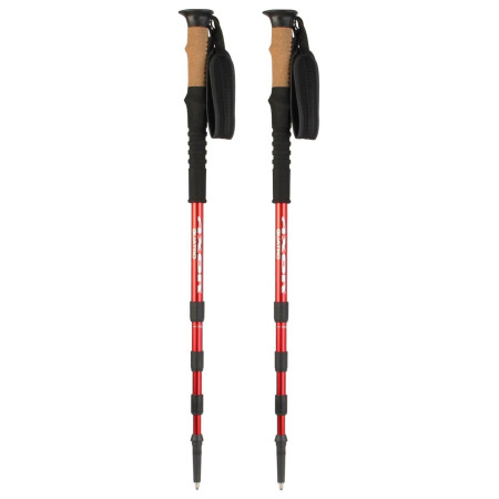 Bastones de senderismo Axon Quatro