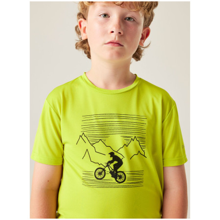 Camiseta para niños Dare 2b Amuse III Tee Frgle Sprout