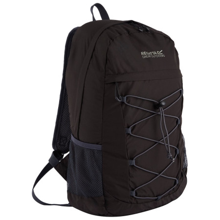 Mochila plegable Regatta Ultralite Packaway Backpack 2L