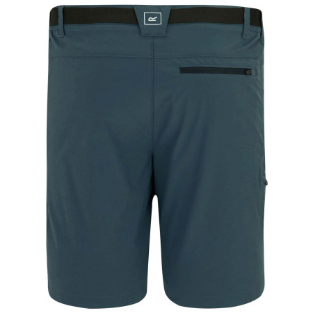 Pantalones cortos de hombre Regatta Xert Stretch Shorts