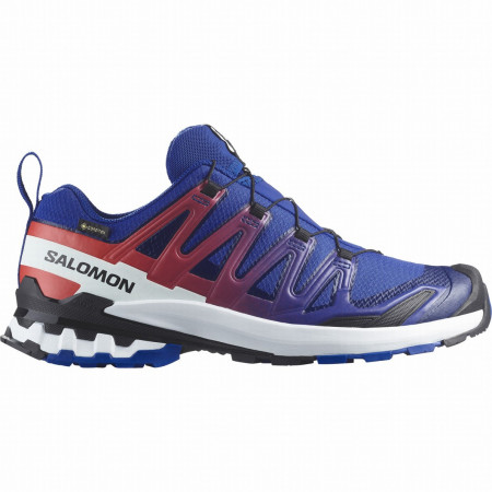 Calzado de hombre Salomon Xa Pro 3D V9 Gore-Tex Equipe