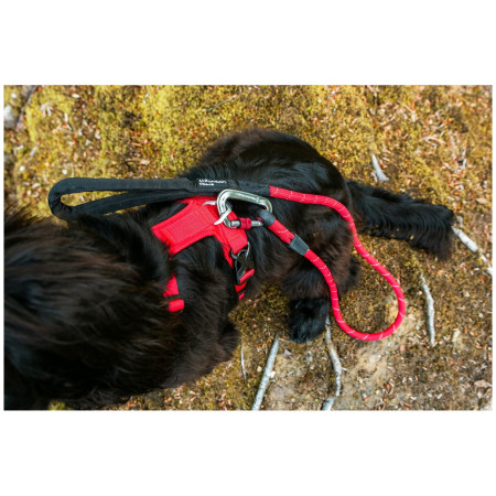 Arnés para perro Mountain Paws Dog Harness