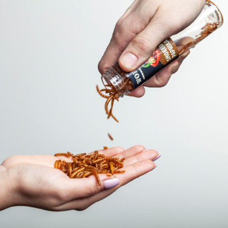 Gusanos comestibles Sens Set de regalo de 4 sabores