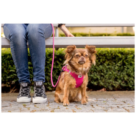 Correa para perro Curli Stretch Comfort Leash