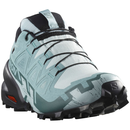 Calzado de mujer Salomon Speedcross 6 Gore-Tex