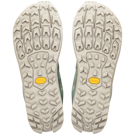 Zapatillas de carrera para hombre Altra Lone Peak 9+ GTX