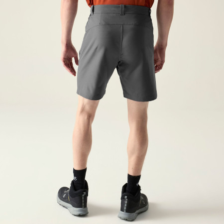 Pantalones cortos de hombre Dare 2b Torrek II Short