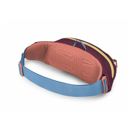 Riñonera Osprey Daylite Waist Pack
