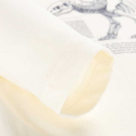 Camiseta para niños Alpine Pro Ecco 2