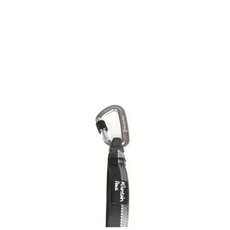 Correa con amortiguador Mountain Paws Shock Absorber Dog Lead