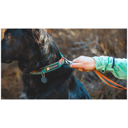 Collar para perro Ruffwear Front Range™ Collar
