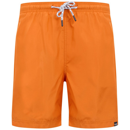 Pantalones cortos de hombre Regatta Mackleyna Swim Short