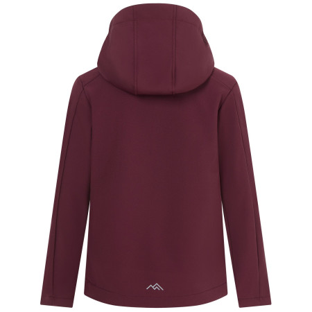Chaqueta softshell para niños Regatta Haydenbury Fig